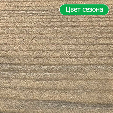 Клен серебристый