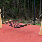 Лесопарк Опалиха в Красногорске - превью фото 11