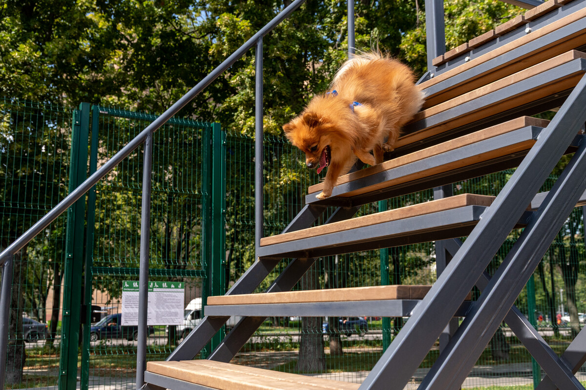 Район Перово - фото 42