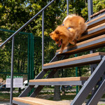 Район Перово - превью фото 42