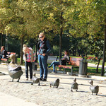 Парк у Новодевичьего монастыря - превью фото 3