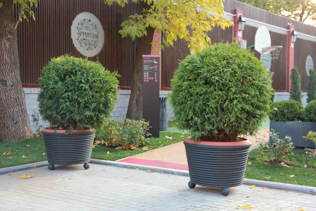 Сад «Эрмитаж» - фото 2