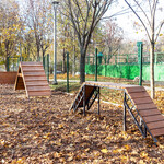 Парк «Долина реки Химки» - превью фото 9